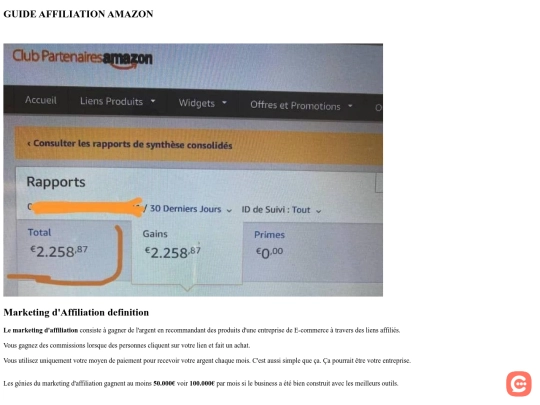 AffiliationAmazon screenshot
