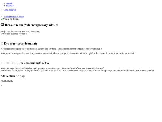 Web enterprenary addict(2) screenshot