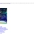 THE NED WEBSITE avatar