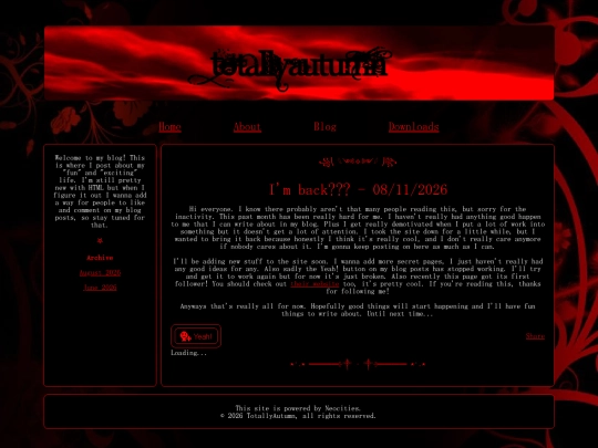 blog/08112026 screenshot