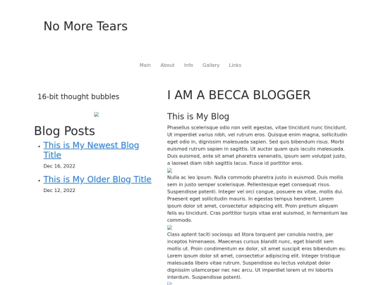 BS5_blog screenshot