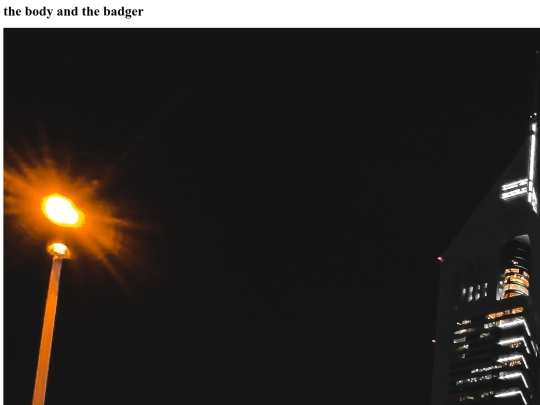 myfirstwebsite screenshot