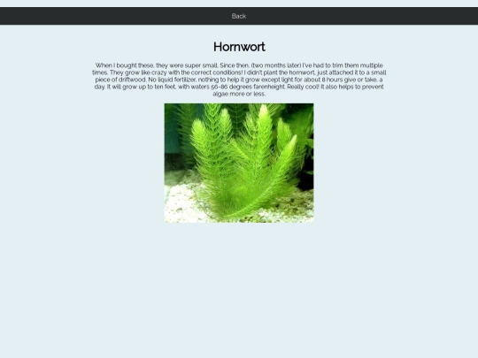 Hornwort screenshot