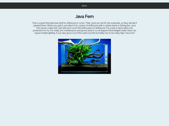JavaFern screenshot