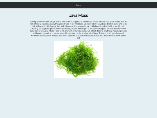 JavaMoss screenshot