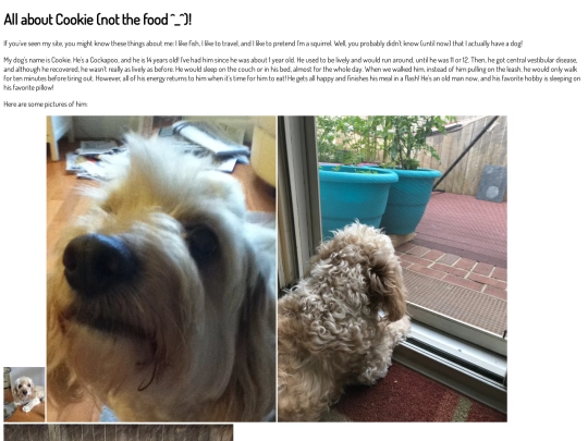 Picturepage pictures/cookie screenshot