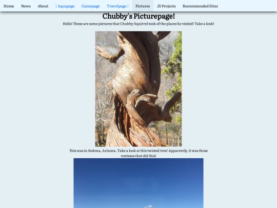 Picturepage screenshot