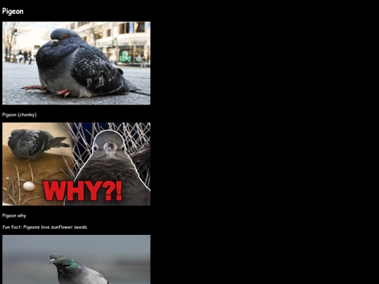 pigeon screenshot