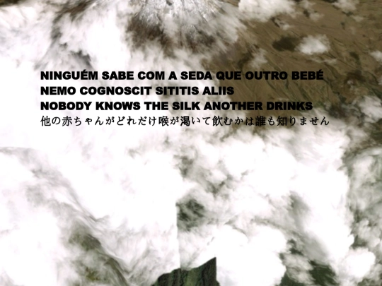 camiseta17 screenshot