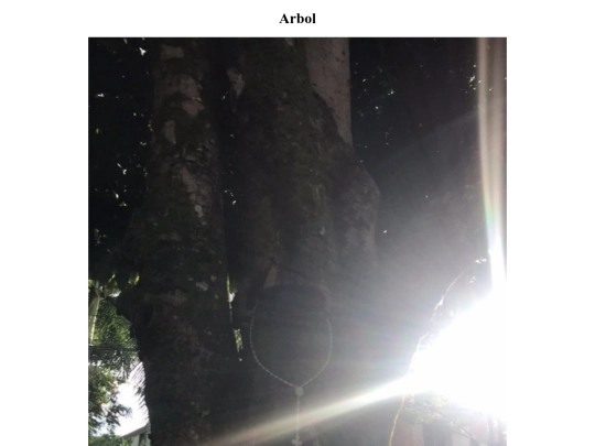 ibg/arb screenshot