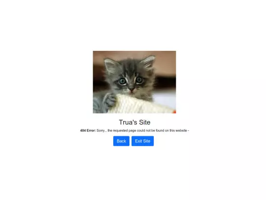 404 screenshot