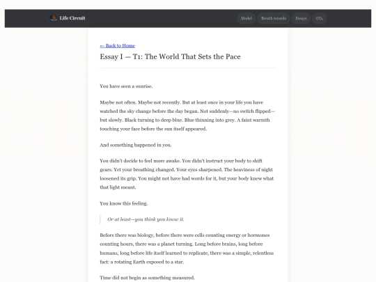 essay-I screenshot