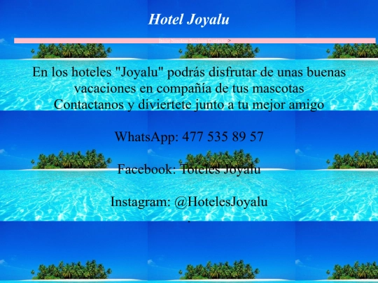 Contactos screenshot