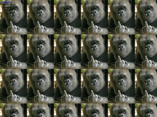 Ari G 2/Arigacix1234 screenshot