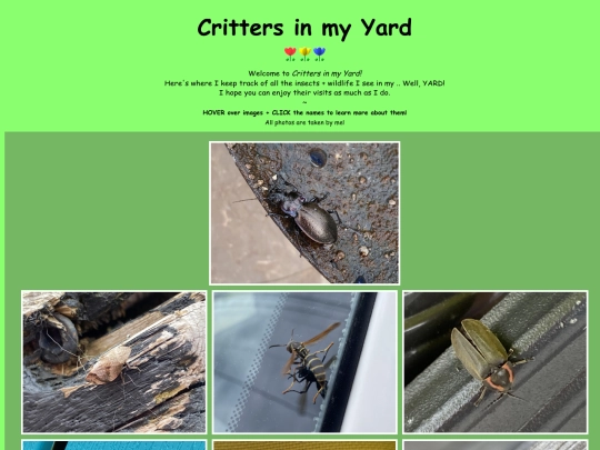 About/crittersinmyyard screenshot