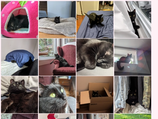 photo-page screenshot