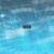 Fe68 avatar