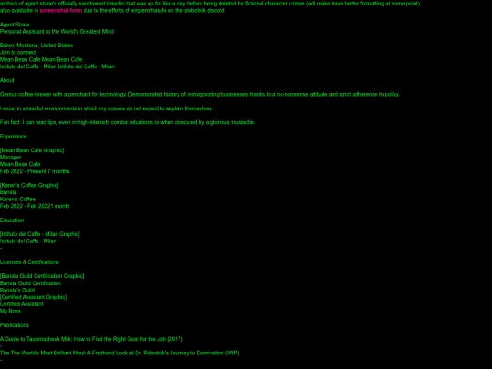 stobotnik/stonelinkedin screenshot