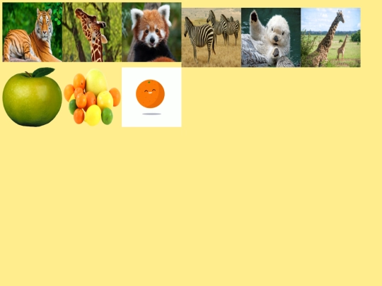 image screenshot