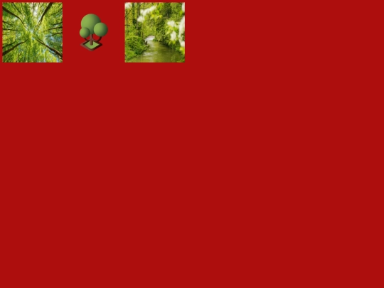 pic screenshot