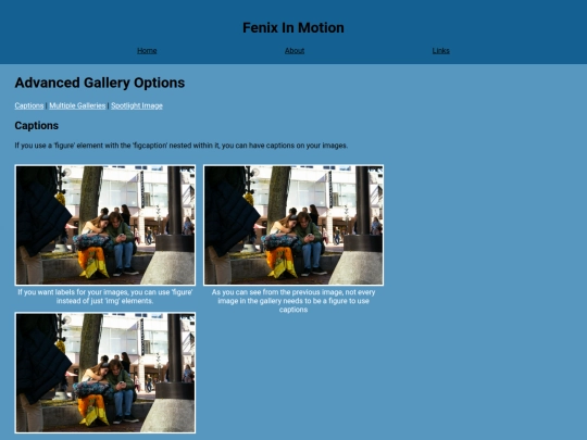 alternateGalleries screenshot