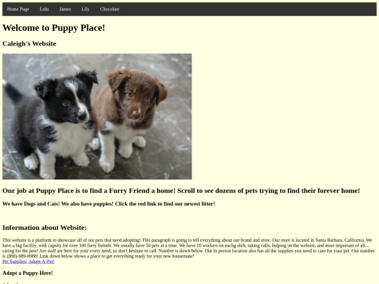 myfirstwebsite screenshot