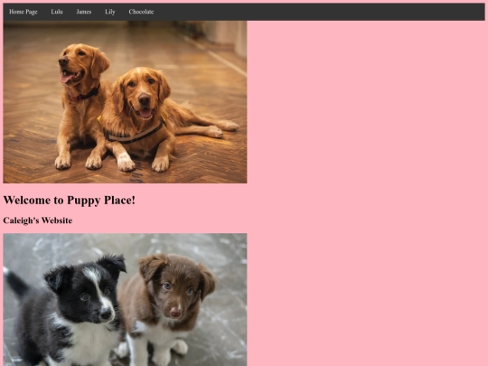 page1 screenshot
