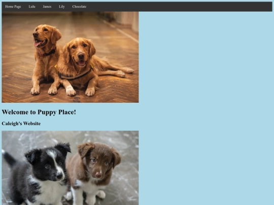 page2 screenshot