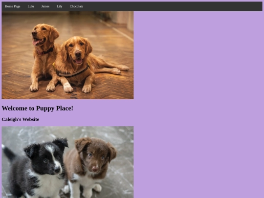 page3 screenshot