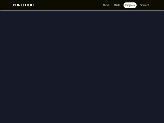 portfolio../projects screenshot