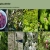 PNW foraging calendar avatar