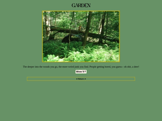 garden/junk screenshot