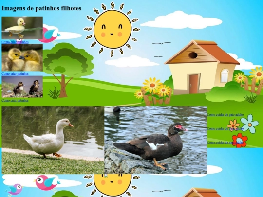 atividade5/exercicio4 screenshot