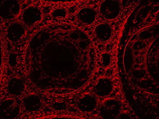 connected/palacetunnel screenshot