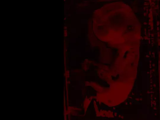 mystery/growth screenshot