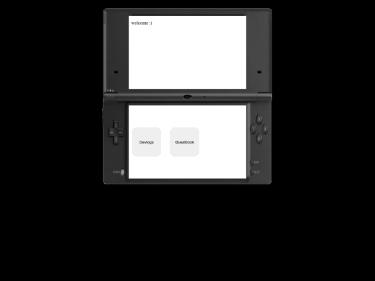 dsi screenshot