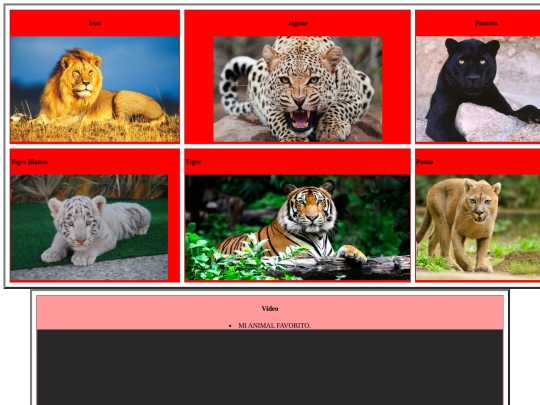animales felinos/felinos screenshot
