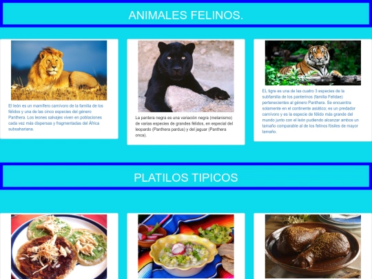 animales felinos/sala screenshot