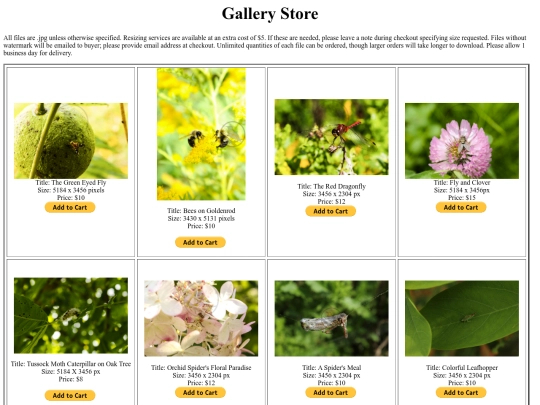 galleryframe screenshot