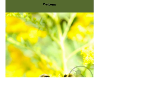 homeframe screenshot
