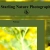 The web site of starlingphoto avatar
