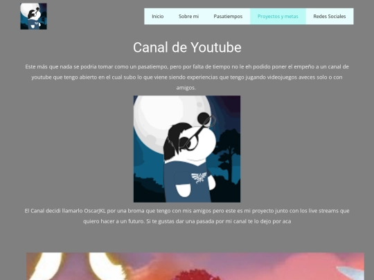 Pagina_Persona/Proyectos-y-metas screenshot
