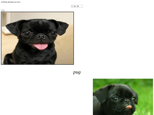 Examen screenshot