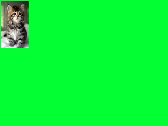 dreamweaver/verde screenshot