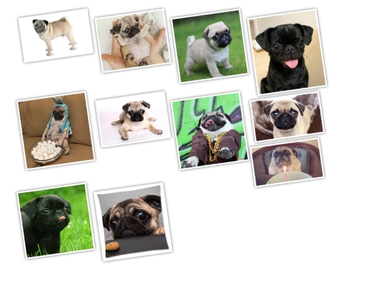galeria screenshot