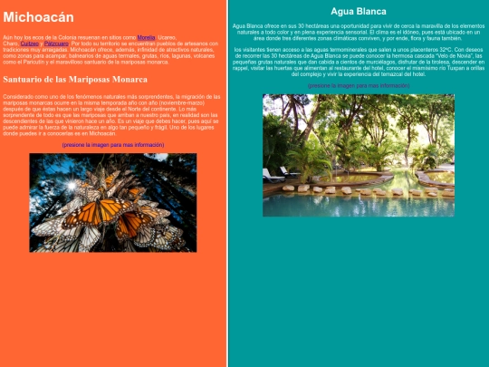 proyecto3/michoacan screenshot