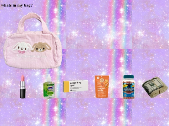 whats-in-my-bag/2 screenshot