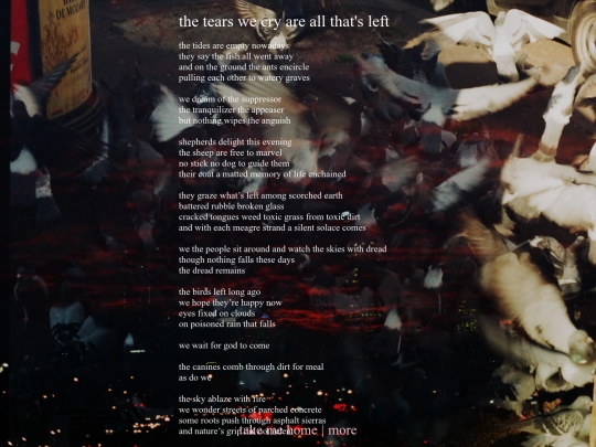 the-tears-we-cry screenshot