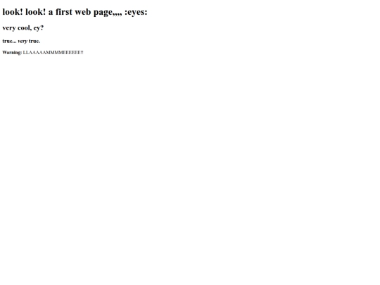 firstwebidk screenshot
