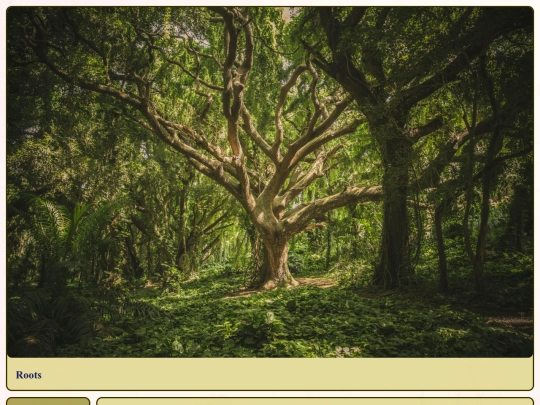 Roots screenshot